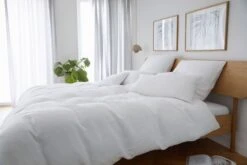 Pure 7062 13 Pure 7062 -Betten-Prinz 7062 000Milieu 1280x1280