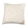 Kopfkissen Cotton, KbA 2 Kopfkissen Cotton, KbA -Betten-Prinz 713546 Cotton KBA2x Kissen DSC 0563BI4MmPOIOjOBDE 1280x1280