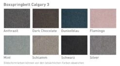 Calgary 3, 180 X 200 Cm -Betten-Prinz Boxspringbett Calgary 3Cz2mYgClLIWIR 1280x1280