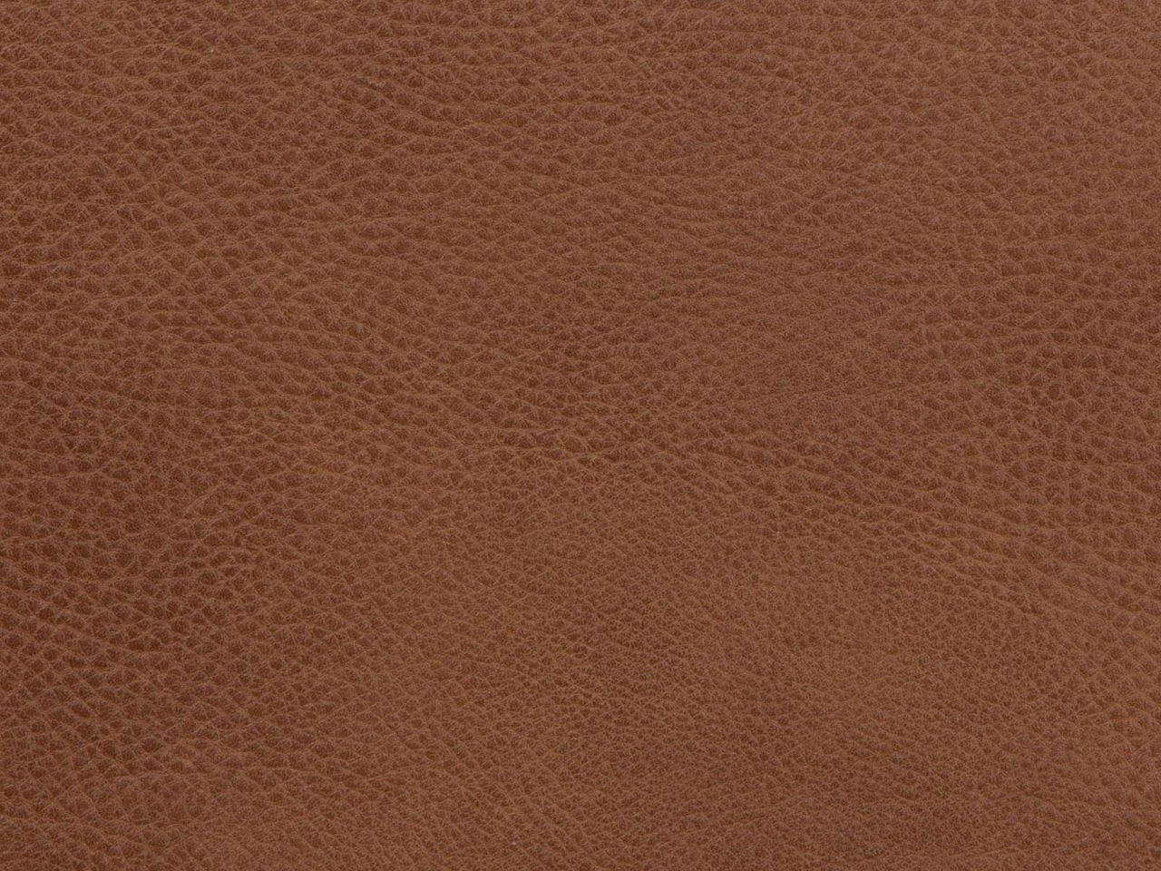 Dorma, Gepolstert 4 Dorma, Gepolstert – Bild 2