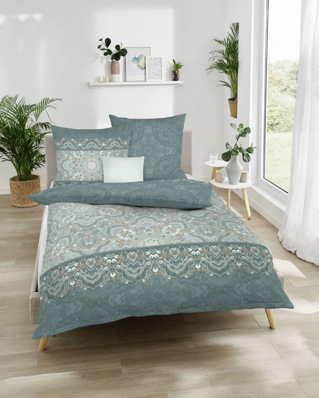 Campano 345 3 Campano 345