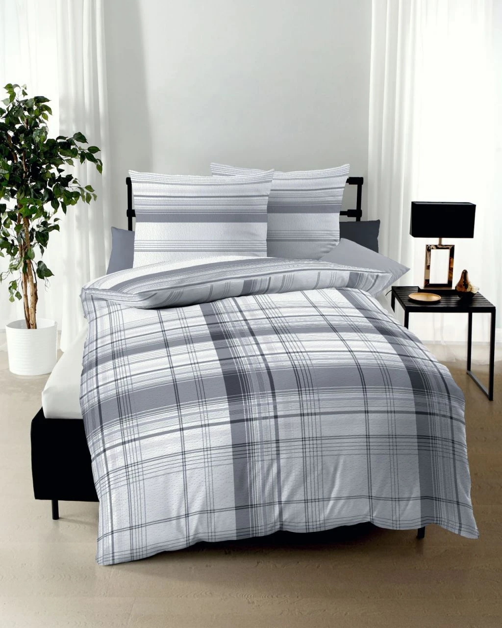 Facile 464 4 Facile 464 – Bild 2