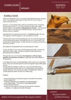 Betten-Prinz -Betten-Prinz Garanta Kamelhaar WissenD9oH4IG6YtvP6 1280x1280