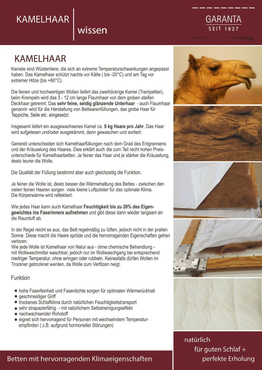 Leichtsteppbett Kamelhaar, KbA 4 Leichtsteppbett Kamelhaar, KbA – Bild 2