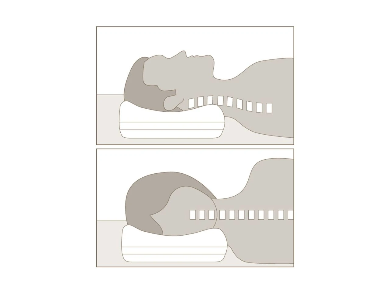 PRO-PIL-O Lastic 7 PRO-PIL-O Lastic – Bild 5