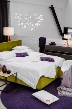 Bio-Wool Winterdecke 11 Bio-Wool Winterdecke -Betten-Prinz HEFEL Bio ImageE9TwfpvMKcCXu 1280x1280