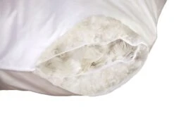 Tencel & Down 3-Kammer-Kissen -Betten-Prinz HEFEL Daune 3 Kammer Kissen Querschnitt 1280x1280