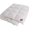 Tencel & Down, Ganzjahresdecke 2 Tencel & Down, Ganzjahresdecke -Betten-Prinz HEFEL Daunendecke 6x8 KaroduBU4IxzOP9II 1280x1280