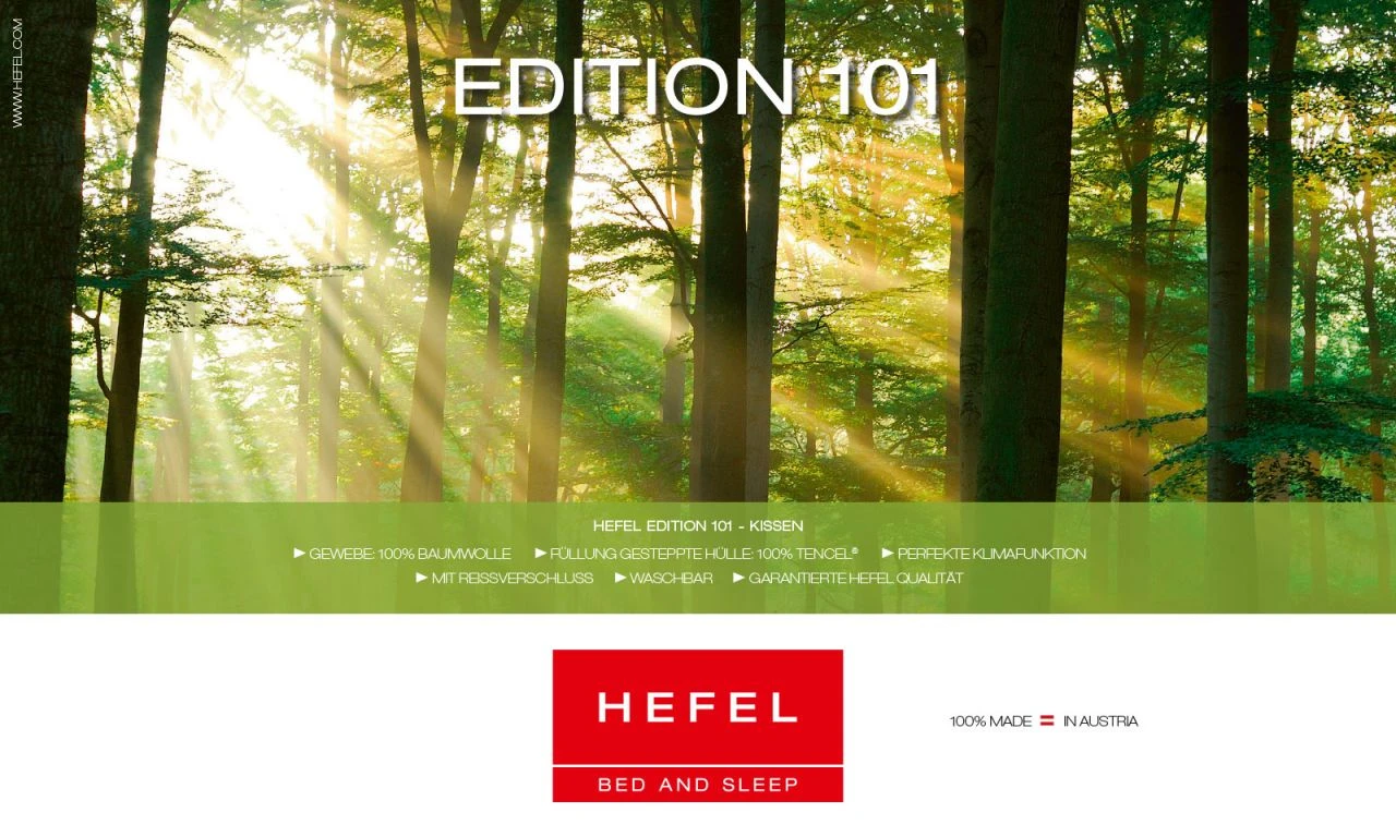 Edition 101 Kissen 4 Edition 101 Kissen – Bild 2