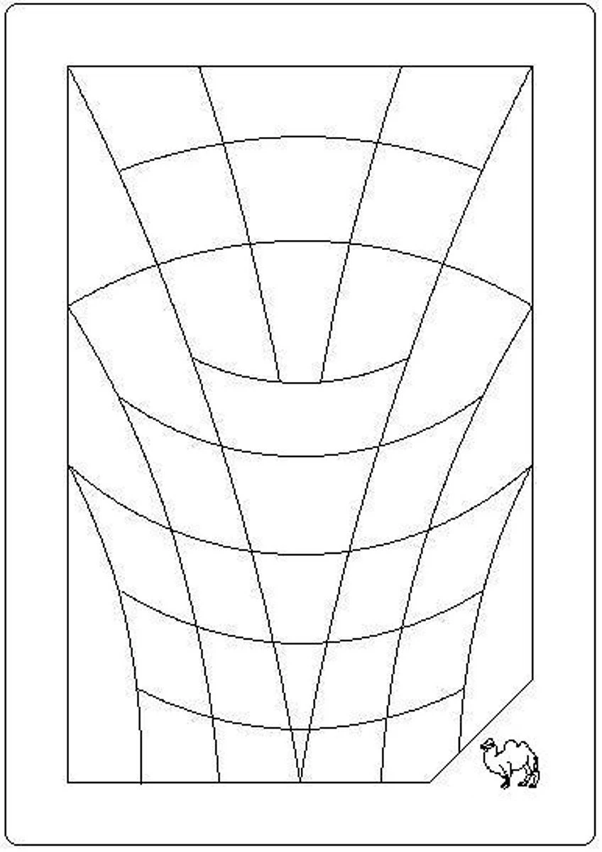 Pure Camel Ganzjahresdecke Light 4 Pure Camel Ganzjahresdecke Light – Bild 2