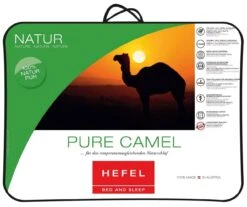 Pure Camel Ganzjahresdecke Light 7 Pure Camel Ganzjahresdecke Light -Betten-Prinz HEFEL Pure Camel Decke TTaU3zlGWAoVJqx 1280x1280