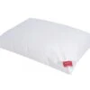 Platinum Down Kissen 2 Platinum Down Kissen -Betten-Prinz HEFEL Tencel Daune Kissen7o2vcyy2svAxn 600x600