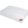 DeLuxe Down 3-Kammer-Kissen 2 DeLuxe Down 3-Kammer-Kissen -Betten-Prinz HEFEL Tencel Daune KissenLpE1A9lQuA9QI 1280x1280