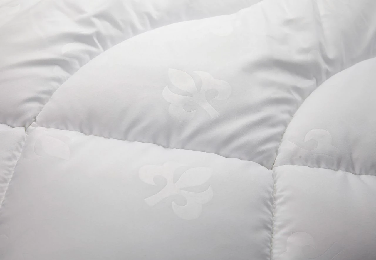 Lotte Leicht 4 Lotte Leicht – Bild 2