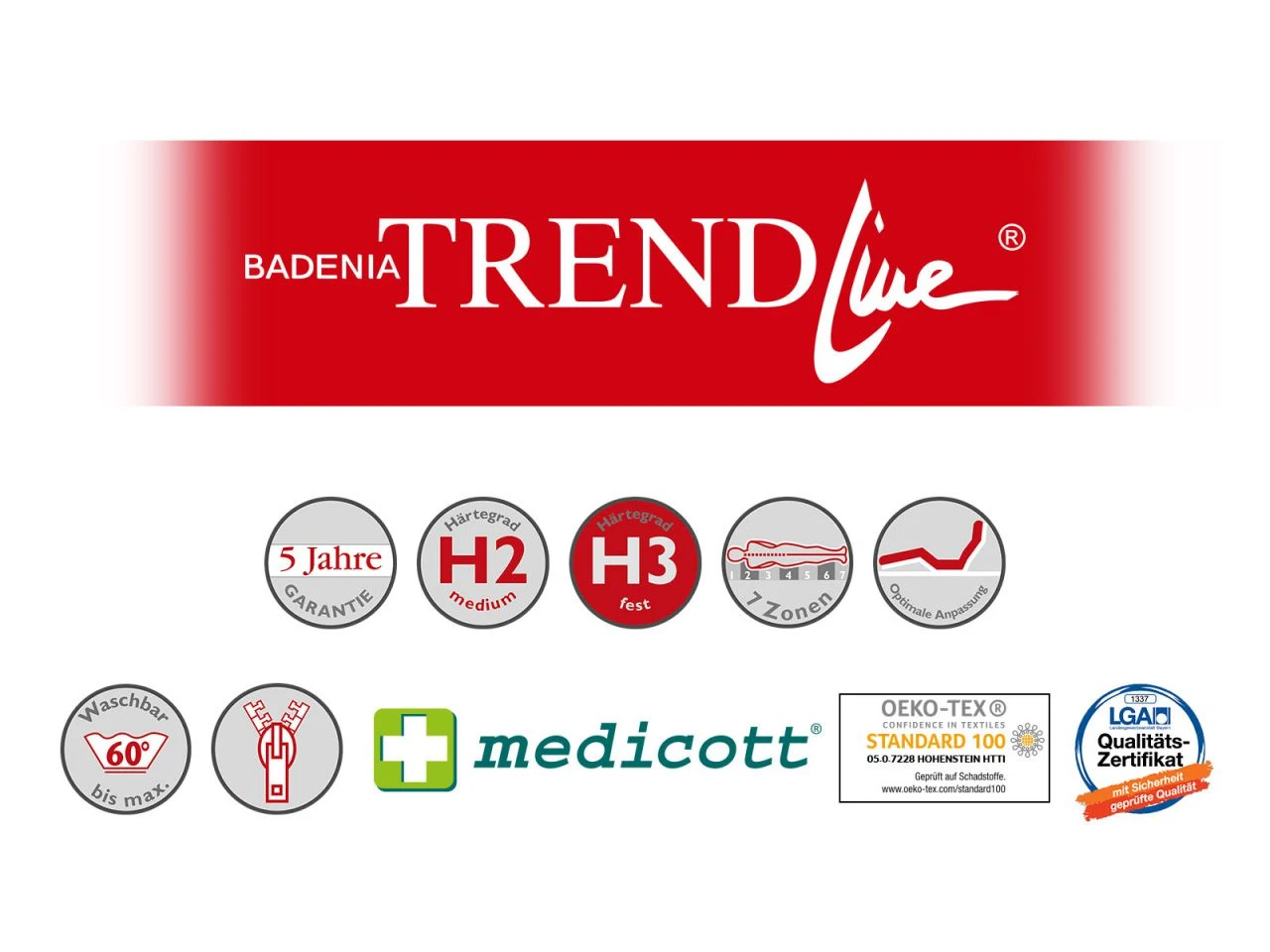 BT 310 KS 5 BT 310 KS – Bild 3