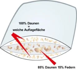 Kissen Island, Extra Soft - Biobasiert 13 Kissen Island, Extra Soft - Biobasiert -Betten-Prinz Querschnitt 3K KK 100FmOhhbC62cQn5c 1280x1280