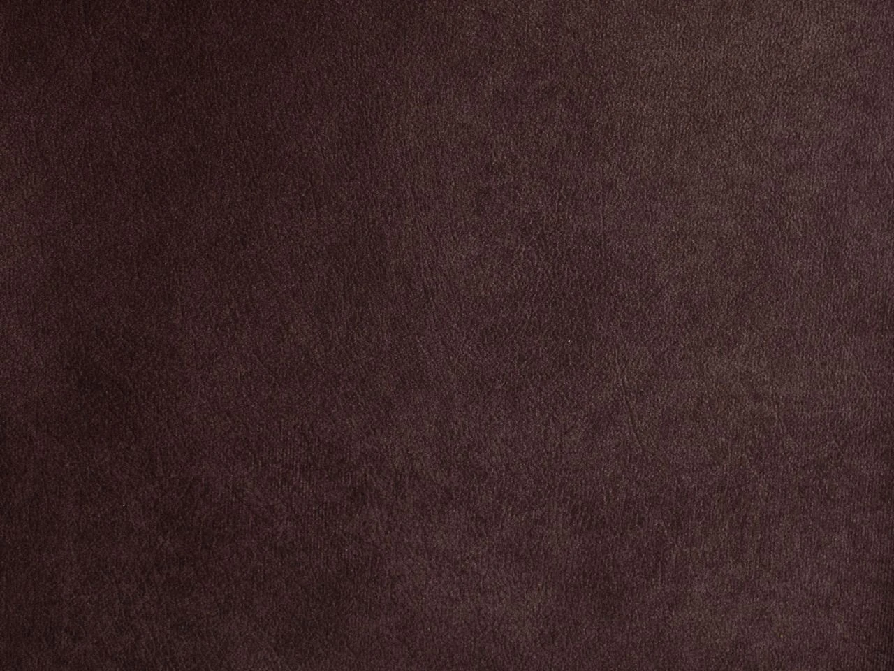 Mario C 14 Mario C – Bild 12