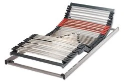 Classic 42 Plus MOT 2 Move Extraflach