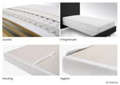 Selecta Gepolsterte Unterfederung UP11, Ausführung 1-Matic Rückenbereich 7 Selecta Gepolsterte Unterfederung UP11, Ausführung 1-Matic Rückenbereich -Betten-Prinz Selecta UP11 1 matic O 026ptr3Kp8hekYA 1280x1280