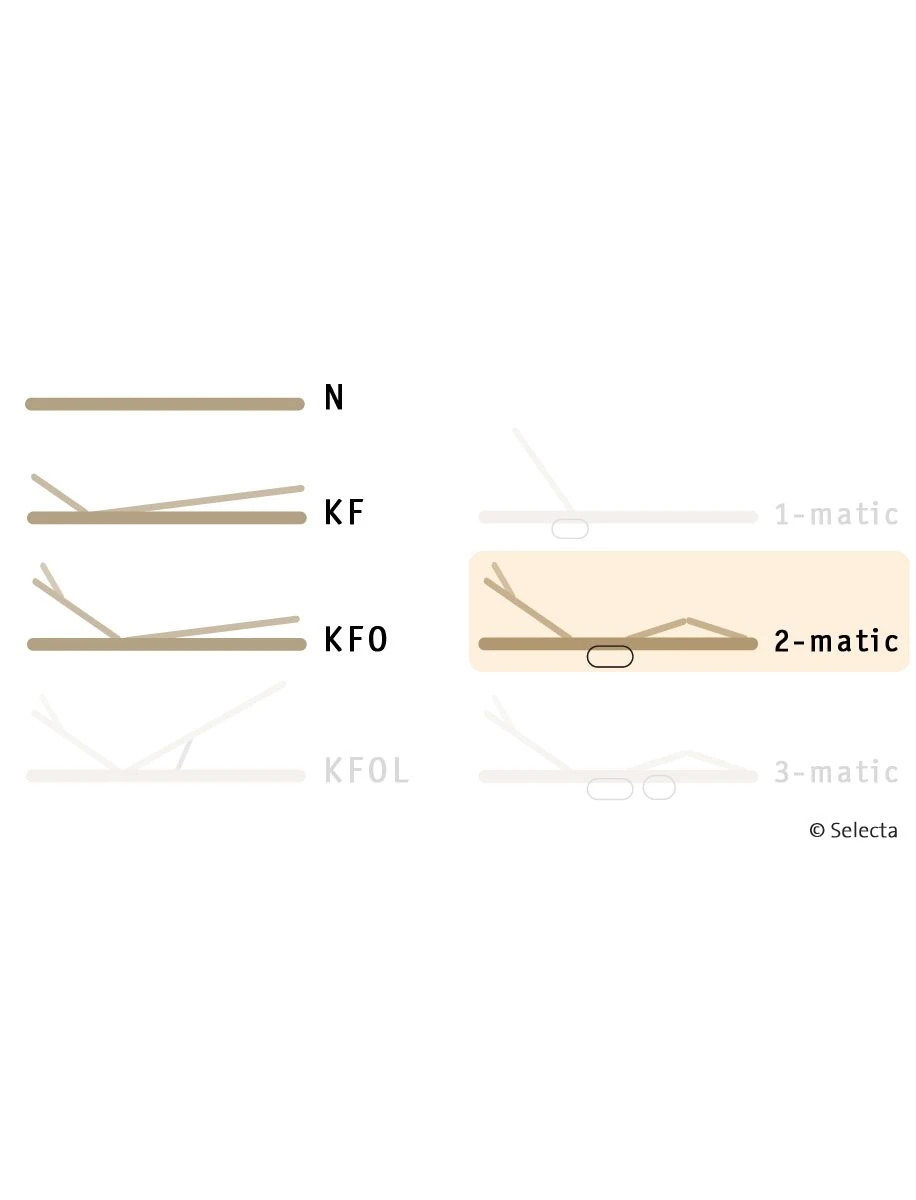 Selecta Lattenrost Einlegerahmen FR5, Ausführung 2-Matic 5 Selecta Lattenrost Einlegerahmen FR5, Ausführung 2-Matic – Bild 3