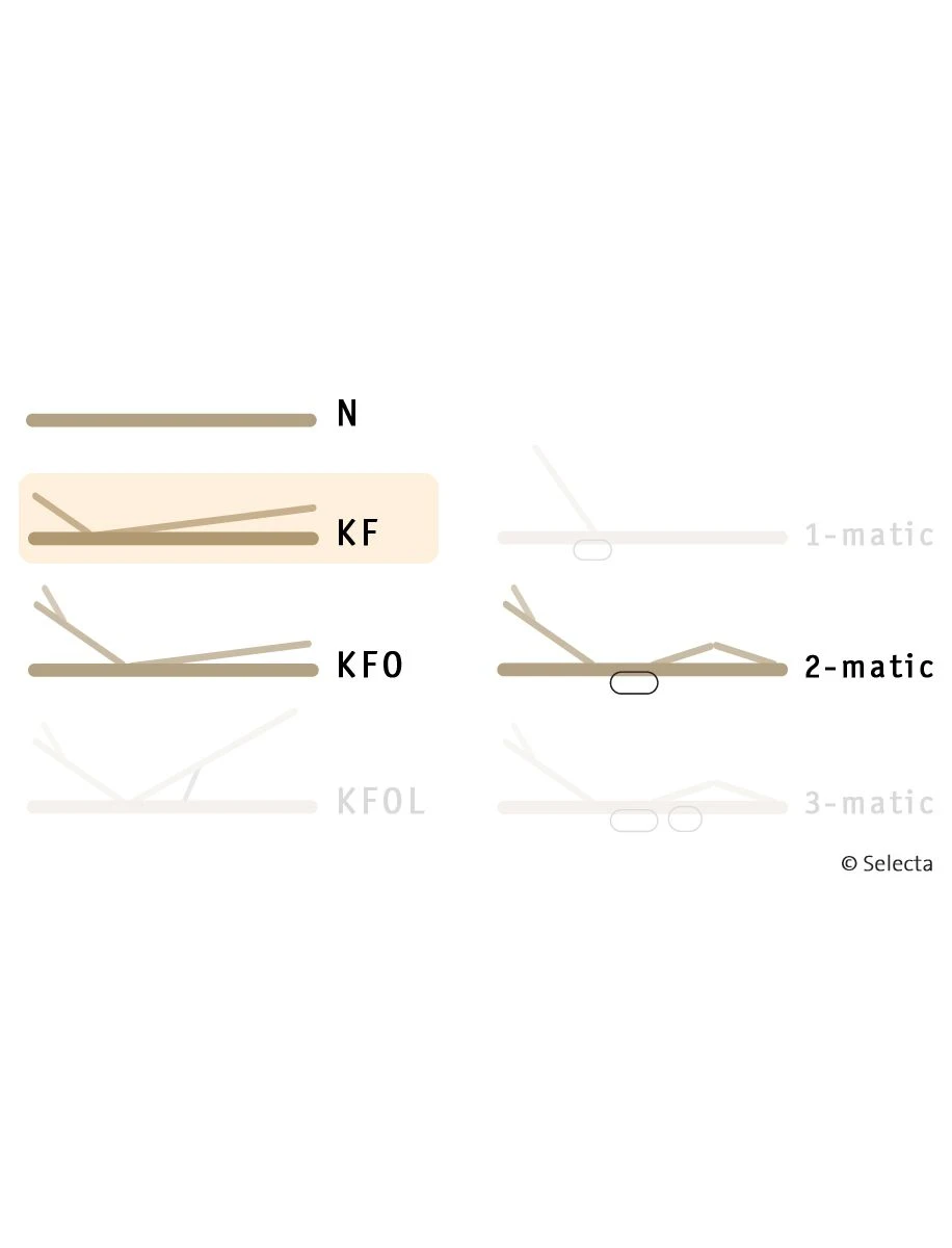 Selecta Lattenrost Einlegerahmen FR5, Ausführung KF 5 Selecta Lattenrost Einlegerahmen FR5, Ausführung KF – Bild 3