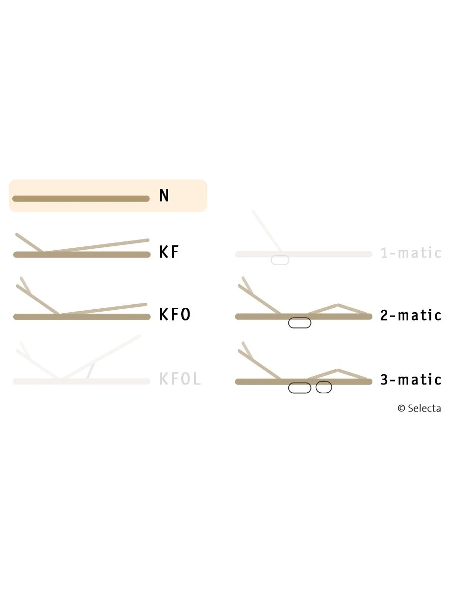 Selecta Lattenrost Einlegerahmen FR6, Ausführung N 5 Selecta Lattenrost Einlegerahmen FR6, Ausführung N – Bild 3