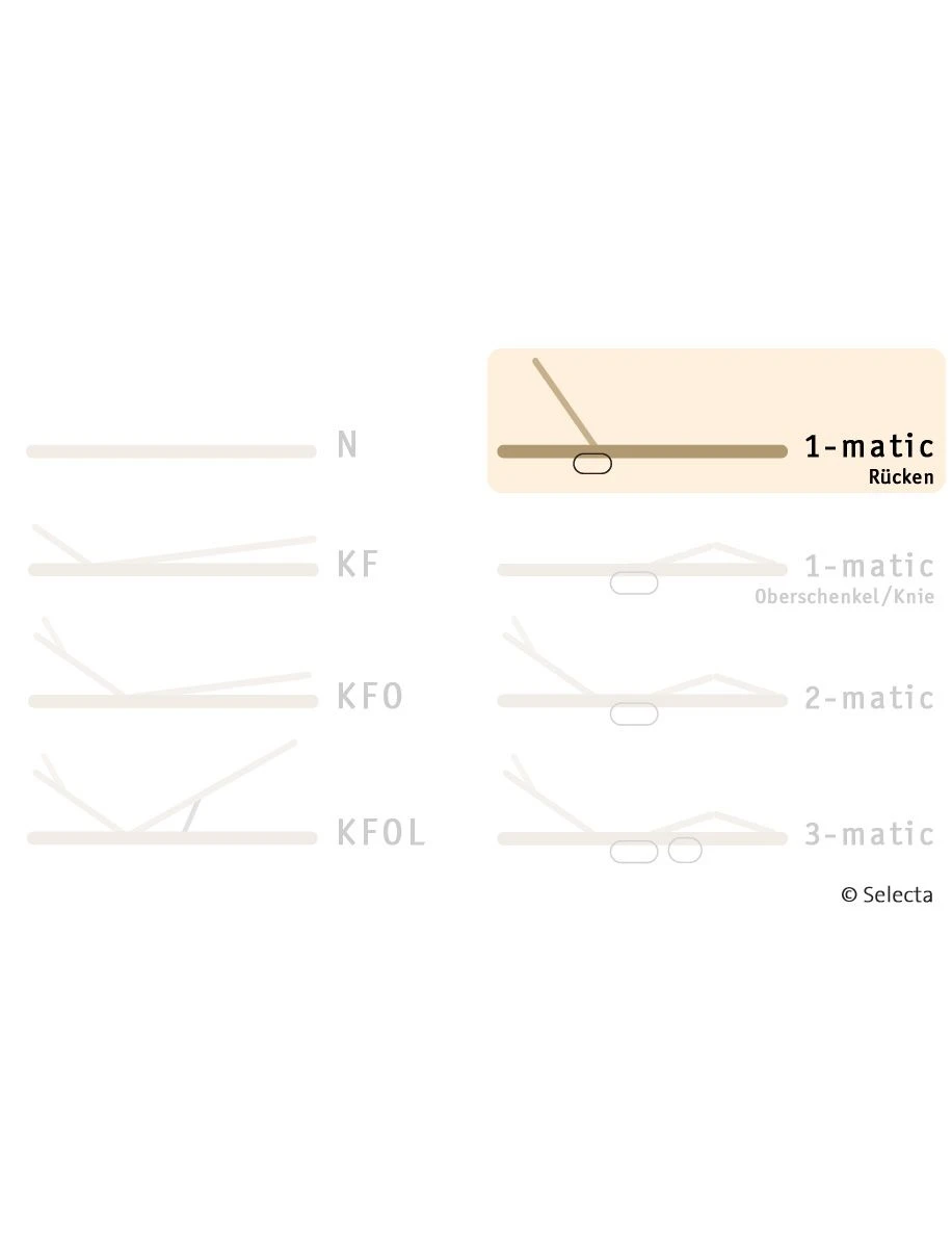 Selecta Lattenrost Einlegerahmen FR7, Ausführung 1-Matic Rückenbereich 4 Selecta Lattenrost Einlegerahmen FR7, Ausführung 1-Matic Rückenbereich – Bild 2