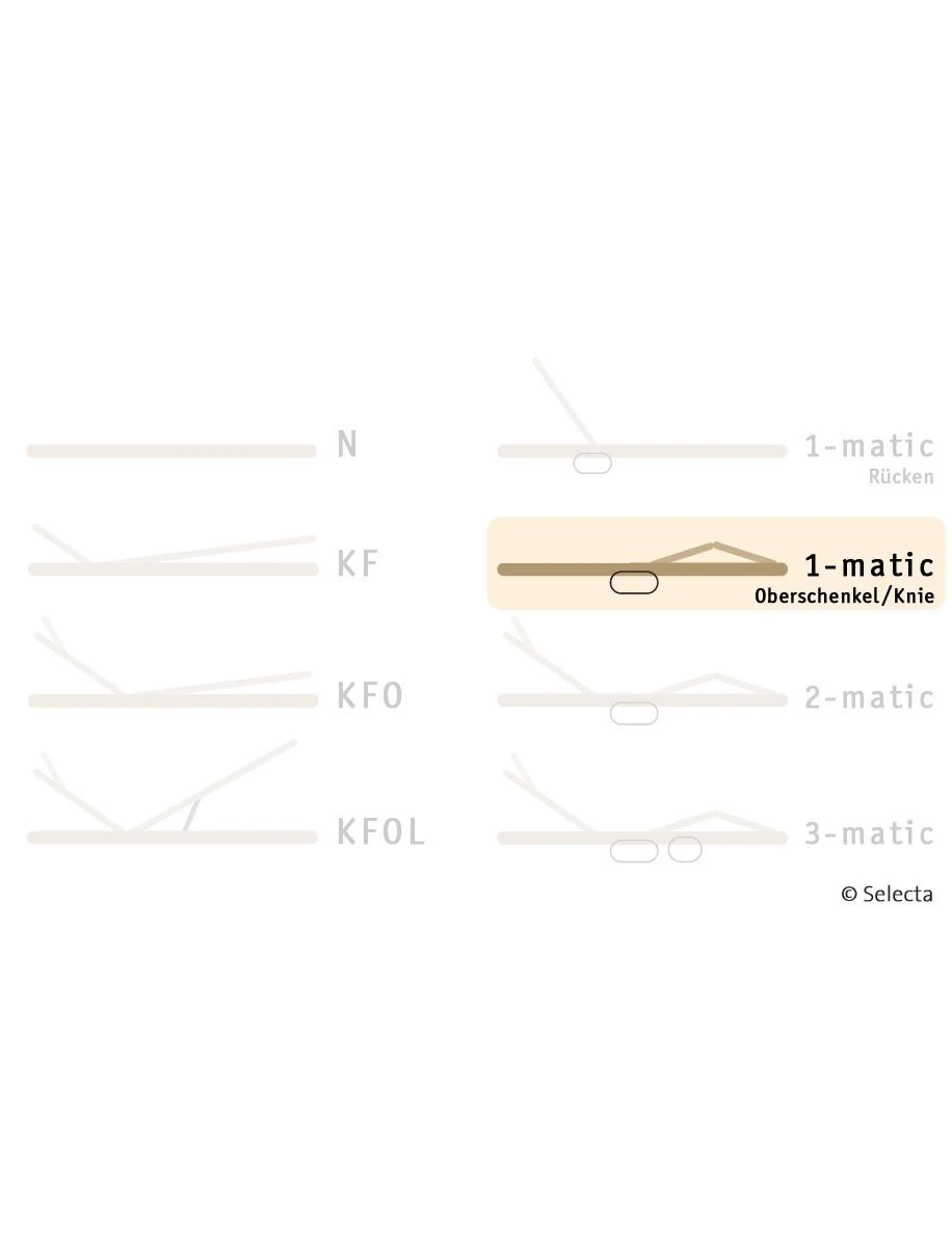 Selecta Lattenrost Einlegerahmen FR7, Ausführung 1-Matic Oberschenkel-Kniebereich 4 Selecta Lattenrost Einlegerahmen FR7, Ausführung 1-Matic Oberschenkel-Kniebereich – Bild 2