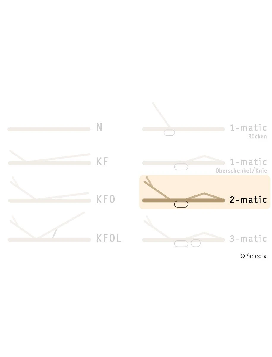 Selecta Lattenrost Einlegerahmen FR7, Ausführung 2-Matic 6 Selecta Lattenrost Einlegerahmen FR7, Ausführung 2-Matic – Bild 4