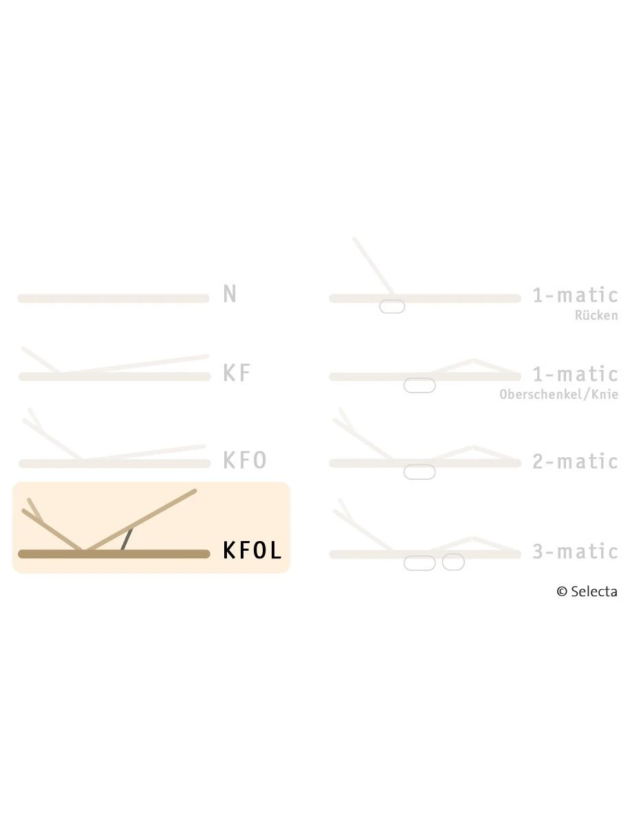 Selecta Lattenrost Einlegerahmen FR7, Ausführung KFOL 4 Selecta Lattenrost Einlegerahmen FR7, Ausführung KFOL – Bild 2