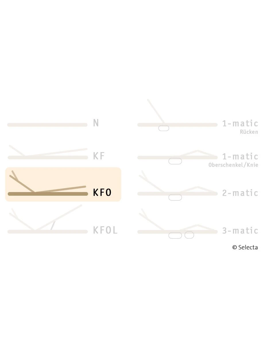 Selecta Lattenrost Einlegerahmen FR7, Ausführung KFO 4 Selecta Lattenrost Einlegerahmen FR7, Ausführung KFO – Bild 2