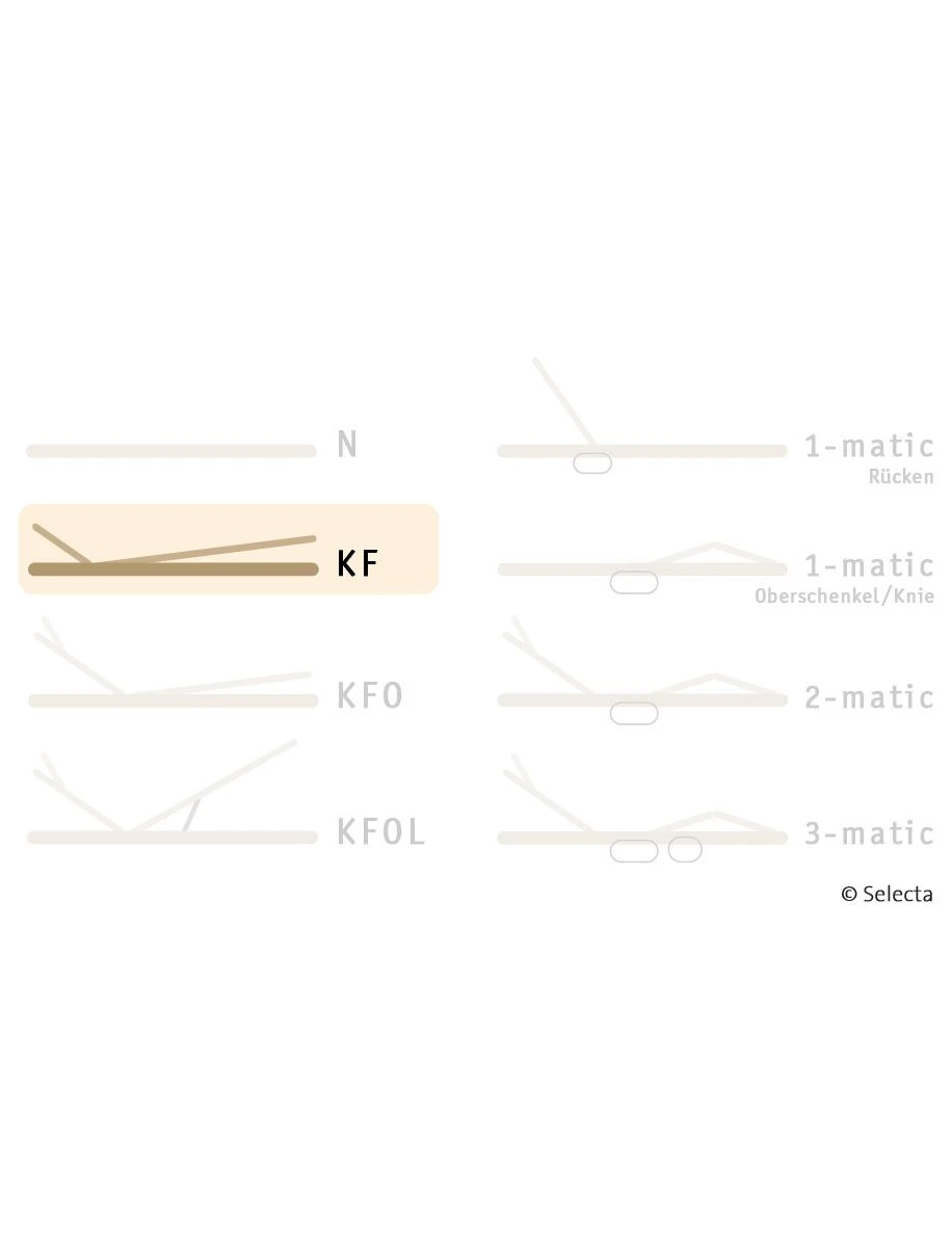 Selecta Lattenrost Einlegerahmen FR7, Ausführung KF 4 Selecta Lattenrost Einlegerahmen FR7, Ausführung KF – Bild 2