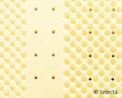 Selecta Kaltschaummatratze S5 12 Selecta Kaltschaummatratze S5 -Betten-Prinz Selecta S5 04 1280x1280