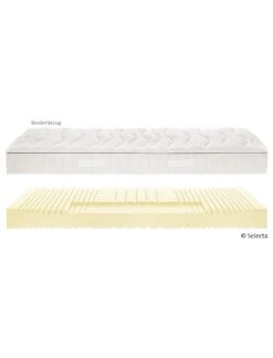 Selecta Kaltschaummatratze S6 10 Selecta Kaltschaummatratze S6 -Betten-Prinz Selecta S6 02ddMwRGYdCkUBg 1280x1280
