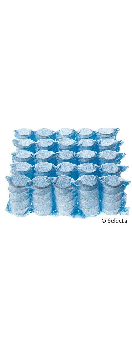Selecta Taschenfederkernmatratze TF5 8 Selecta Taschenfederkernmatratze TF5 – Bild 6