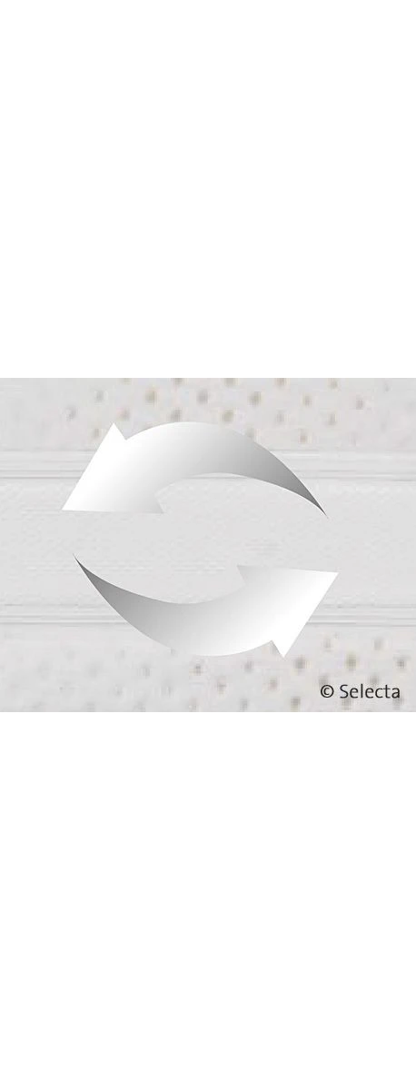 Selecta Visco-Matratze V8 4 Selecta Visco-Matratze V8 – Bild 2