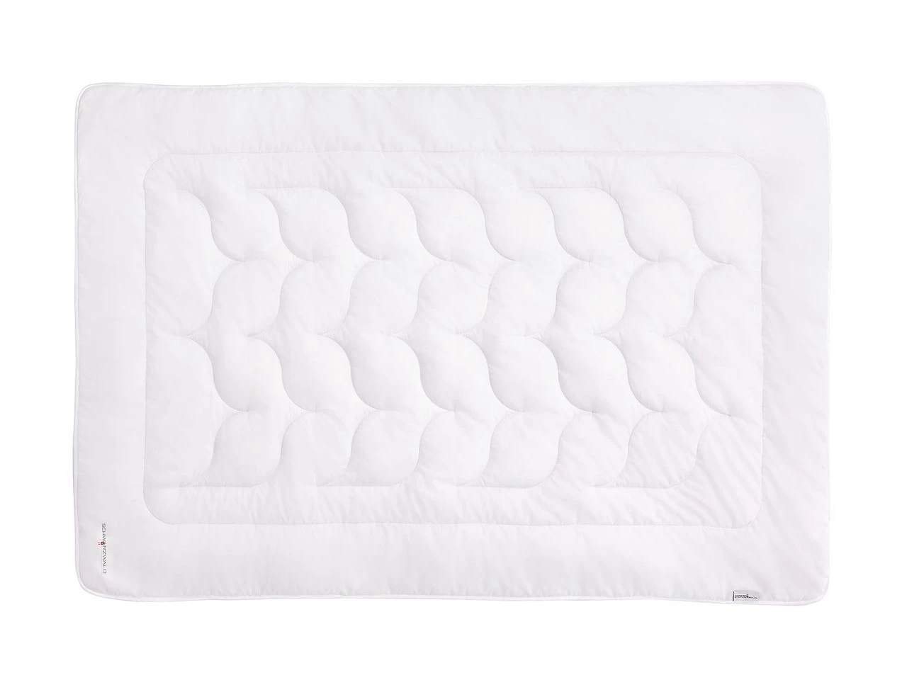 Selma Light 4 Selma Light – Bild 2