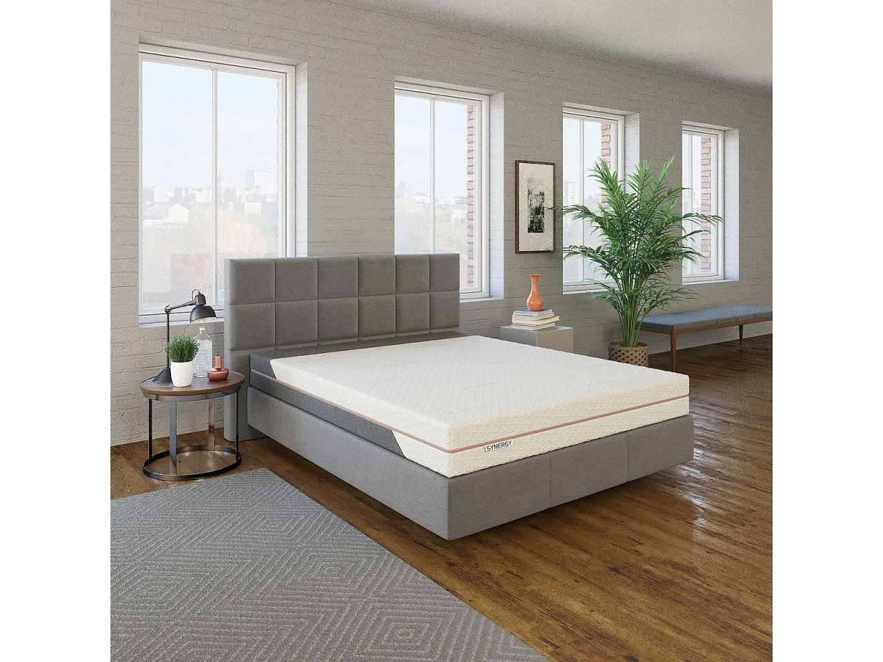 MSA Synergy 6 MSA Synergy – Bild 4