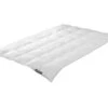 Trendline Daune Comfort Medium 1 Trendline Daune Comfort Medium -Betten-Prinz Trendline Daunendecke Comfort medium 5x7 1280x1280