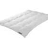 Trendline Daune Comfort Warm 2 Trendline Daune Comfort Warm -Betten-Prinz Trendline Daunendecke Comfort warm 4x6 1280x1280