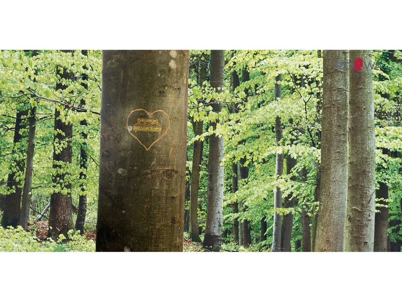 Selecta Lattenrost Einlegerahmen FR7, Ausführung 1-Matic Oberschenkel-Kniebereich 7 Selecta Lattenrost Einlegerahmen FR7, Ausführung 1-Matic Oberschenkel-Kniebereich – Bild 5