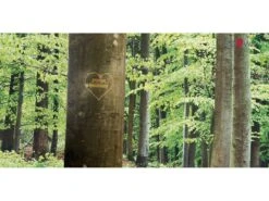 RÖWA Lattenrost Basic Komfort N 9 RÖWA Lattenrost Basic Komfort N -Betten-Prinz buchenwald mit herz mit LogozVNfqPqt9H17D 1280x1280