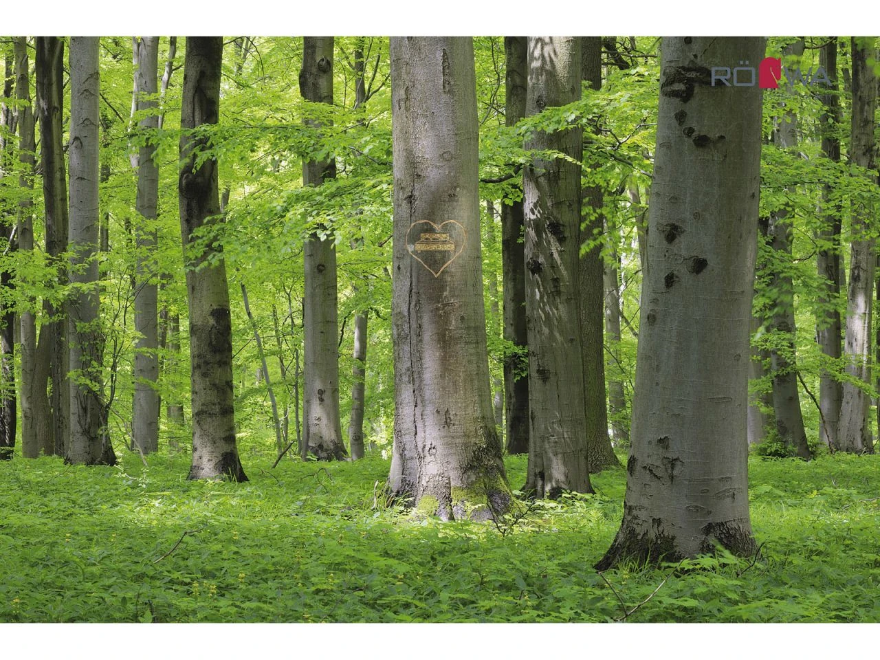Selecta Lattenrost Einlegerahmen FR7, Ausführung KFOL 7 Selecta Lattenrost Einlegerahmen FR7, Ausführung KFOL – Bild 5