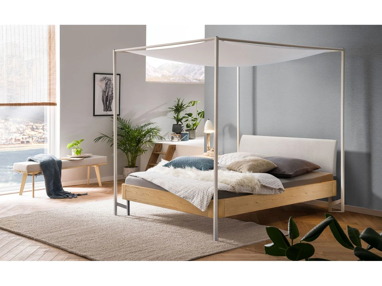 Fine-Line Cielo-Ron Baldachin 3 Fine-Line Cielo-Ron Baldachin