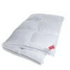 DeLuxe Down Winterdecke 1 DeLuxe Down Winterdecke -Betten-Prinz hefel daunedecke 4x6 karoio1SNfHLyAhGS 1280x1280