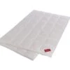 DeLuxe Down Sommerdecke 2 DeLuxe Down Sommerdecke -Betten-Prinz hefel daunendecke 10x14 karonMtBEkr5599zL 1280x1280