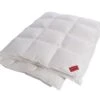Silver Down Ganzjahresdecke 2 Silver Down Ganzjahresdecke -Betten-Prinz hefel daunendecke 6x8 karoI7N6xMbUsIKv1 1280x1280