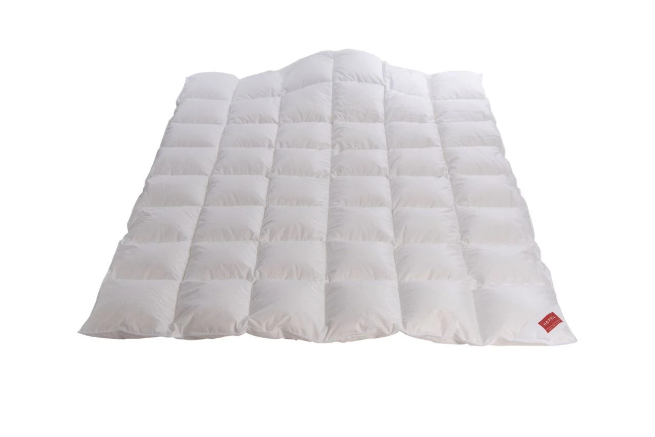 Gold Down Ganzjahresdecke 4 Gold Down Ganzjahresdecke – Bild 2