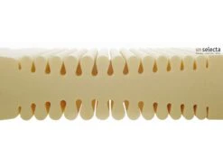 Selecta Kaltschaummatratze S19 14 Selecta Kaltschaummatratze S19 -Betten-Prinz selecta S19 kern det a mit Logod5f8w4gPdrvth 1280x1280